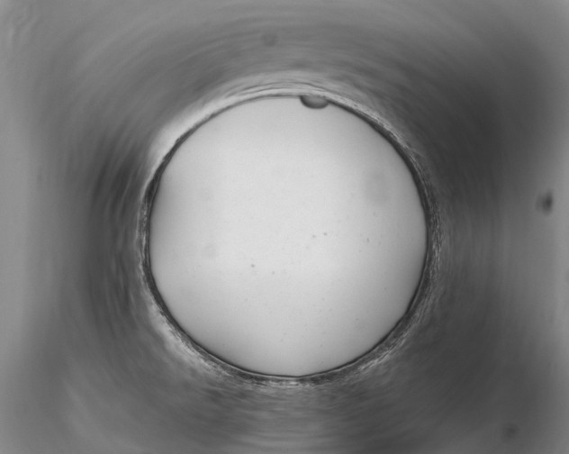 X0000115611526200912011538