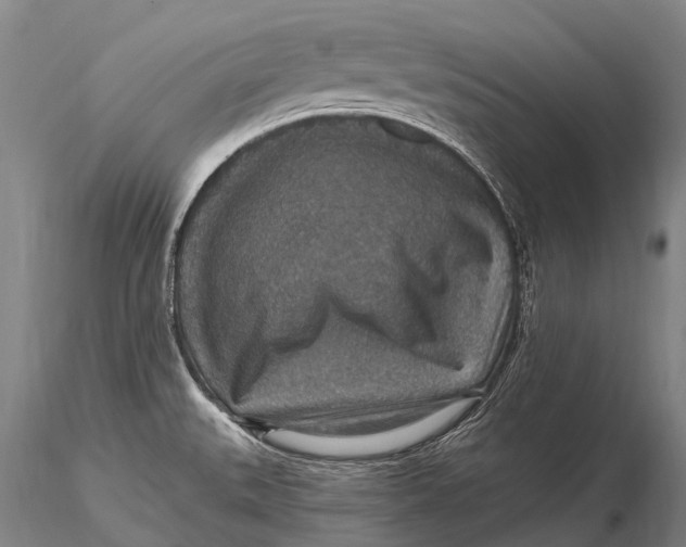 X0000115611527200912011538