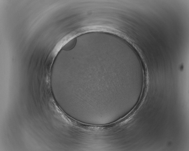 X0000115611529200912011538
