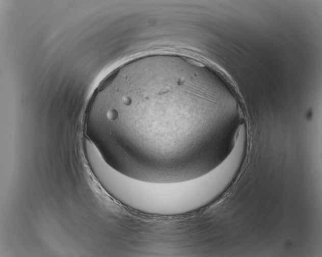 X0000115611530200912011538