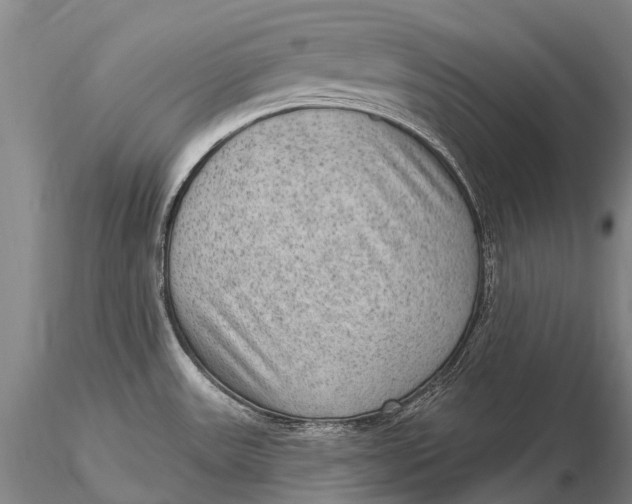 X0000115611531200912011538
