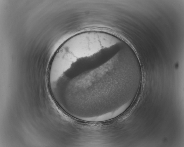 X0000115611533200912011538