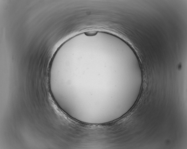 X0000115611534200912011538