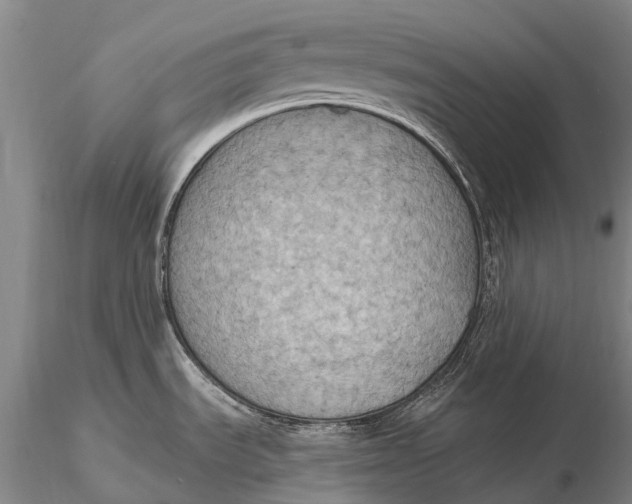 X0000115611535200912011538