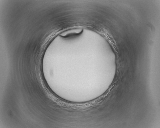 X0000115610001200912081012