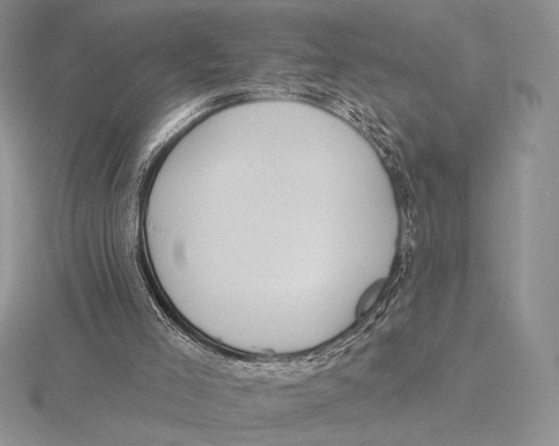 X0000115610005200912081012