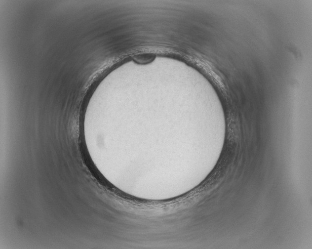X0000115610015200912081012