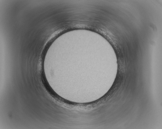 X0000115610016200912081012