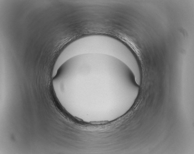 X0000115610017200912081012