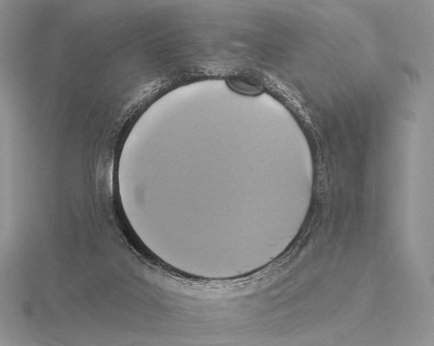 X0000115610019200912081012