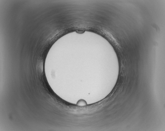 X0000115610021200912081012