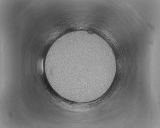 X0000115610028200912081011