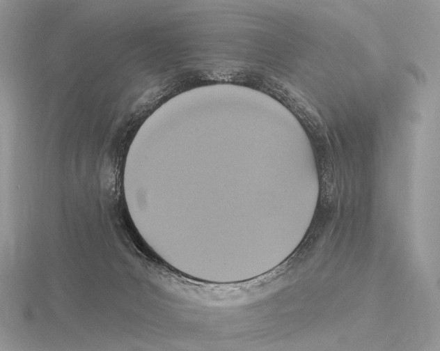 X0000115610031200912081011