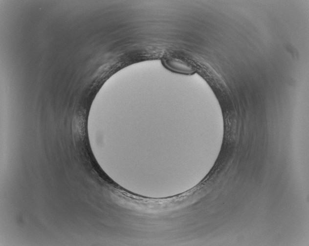 X0000115610035200912081011