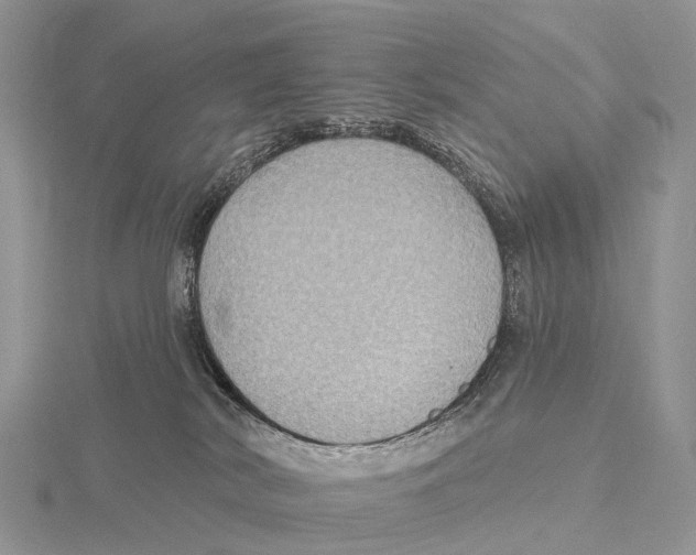 X0000115610038200912081011