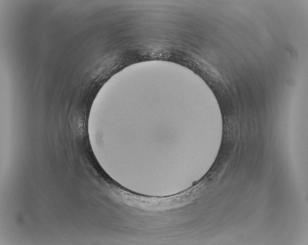 X0000115610039200912081011