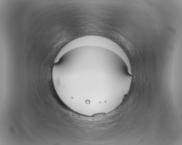 X0000115610043200912081011