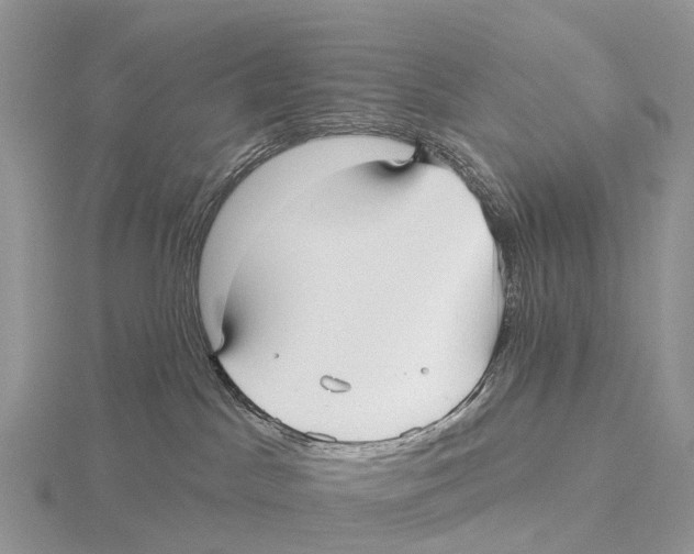 X0000115610045200912081011
