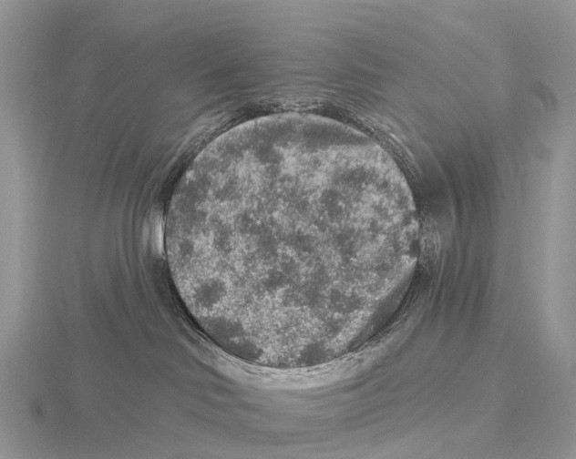 X0000115610046200912081011