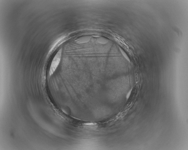 X0000115610053200912081011