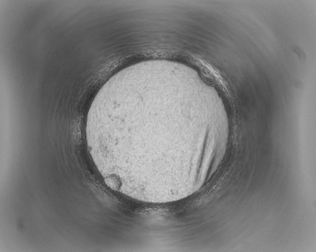 X0000115610065200912081011