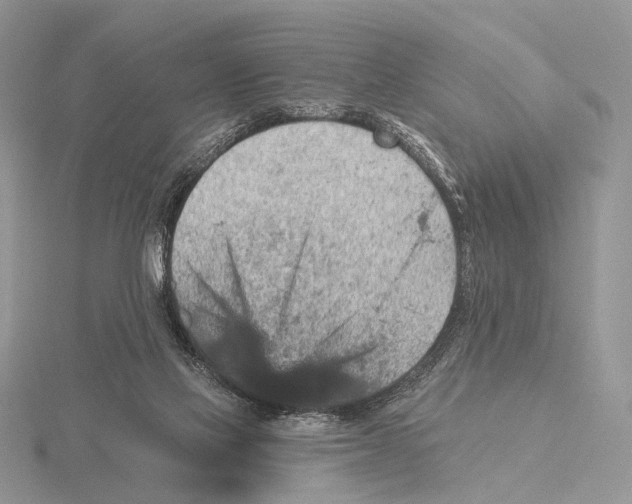 X0000115610069200912081011
