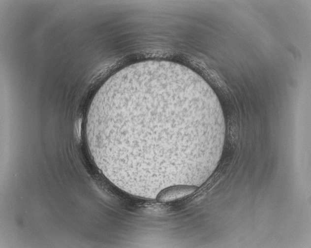 X0000115610070200912081011