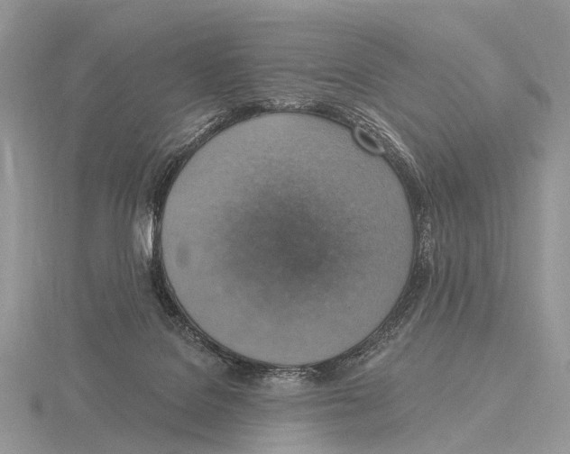 X0000115610076200912081011