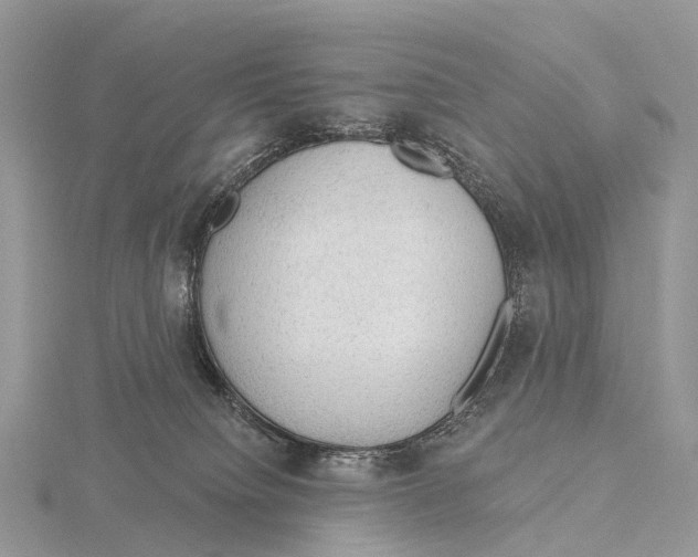 X0000115610084200912081011