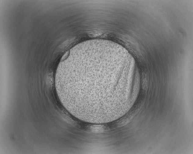 X0000115610085200912081011
