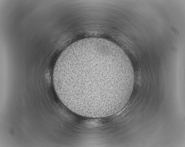 X0000115610086200912081011