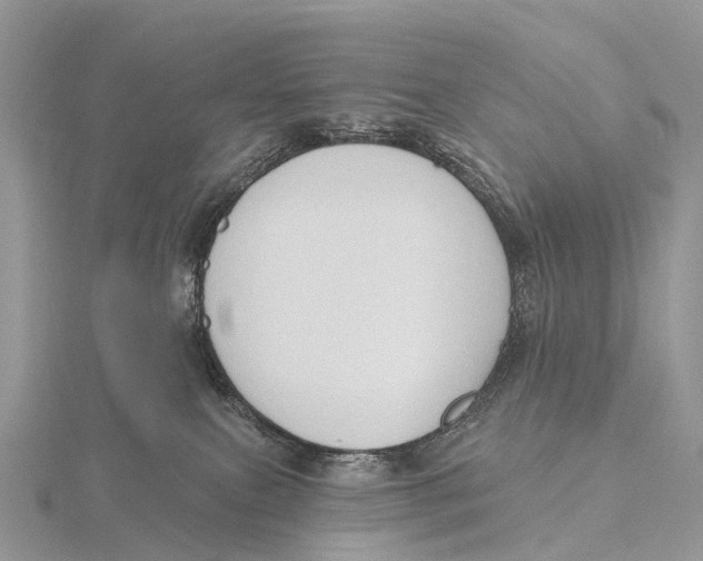 X0000115610087200912081011