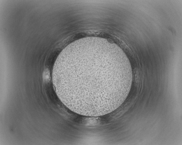 X0000115610089200912081011
