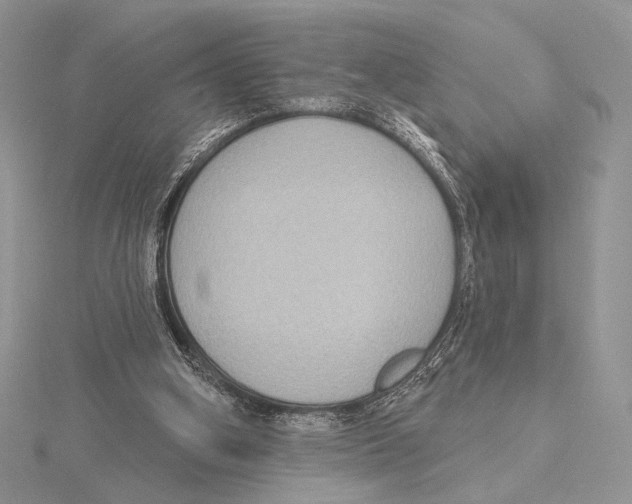 X0000115610106200912081010