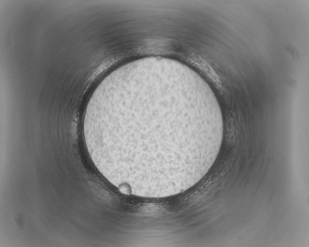 X0000115610111200912081010
