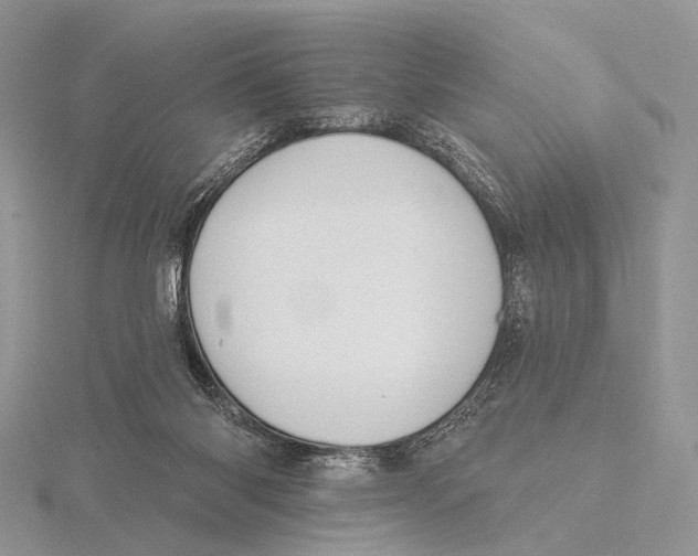 X0000115610118200912081010
