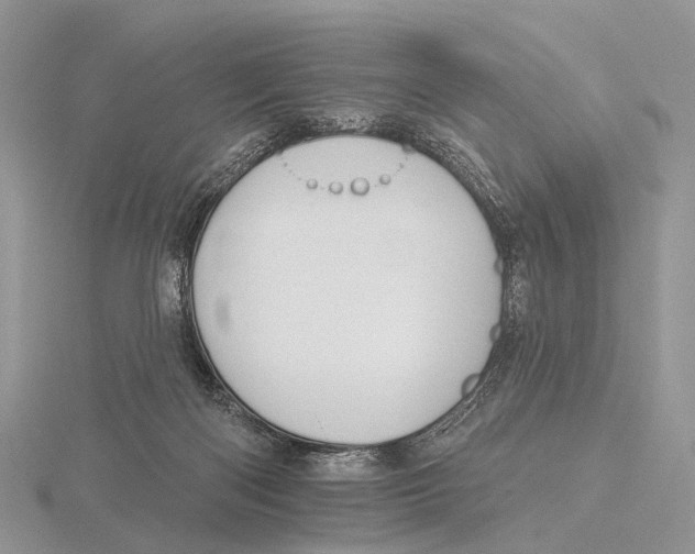 X0000115610122200912081010