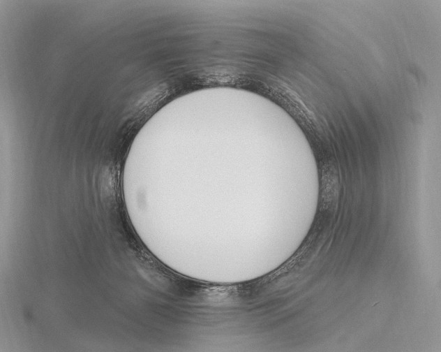 X0000115610126200912081010
