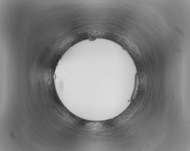 X0000115610133200912081010