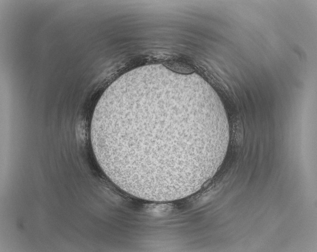 X0000115610135200912081010