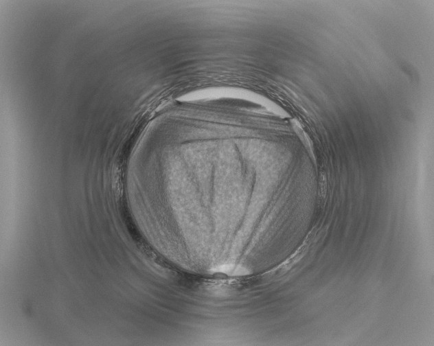X0000115610136200912081010