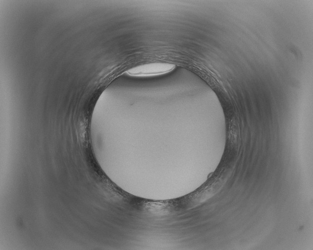 X0000115610139200912081010