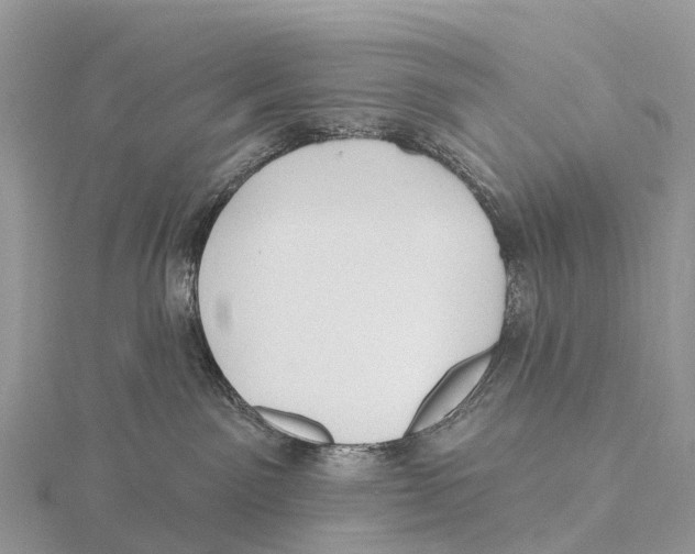 X0000115610141200912081010