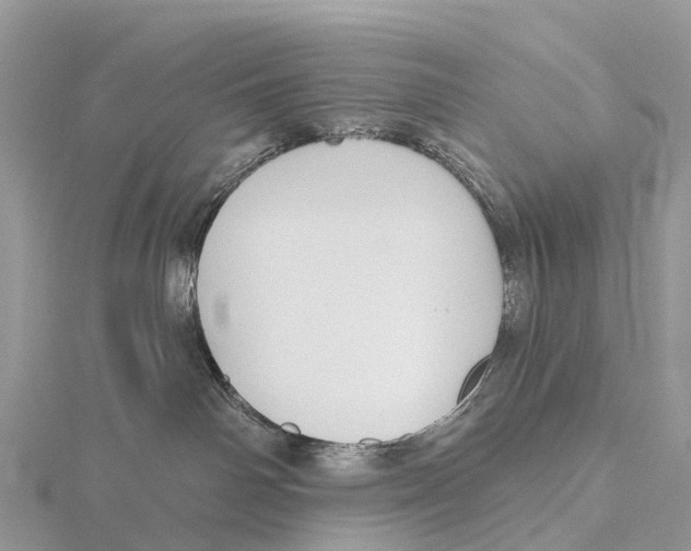 X0000115610142200912081010