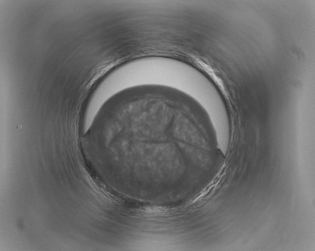 X0000115610154200912081009