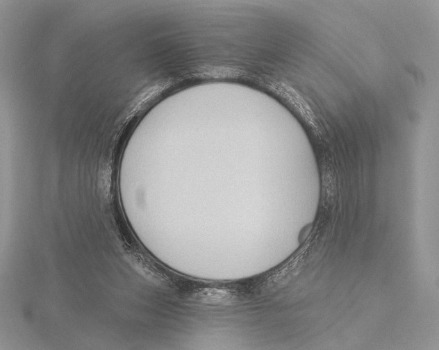 X0000115610159200912081009