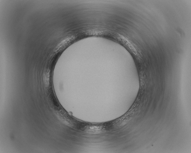 X0000115610163200912081009