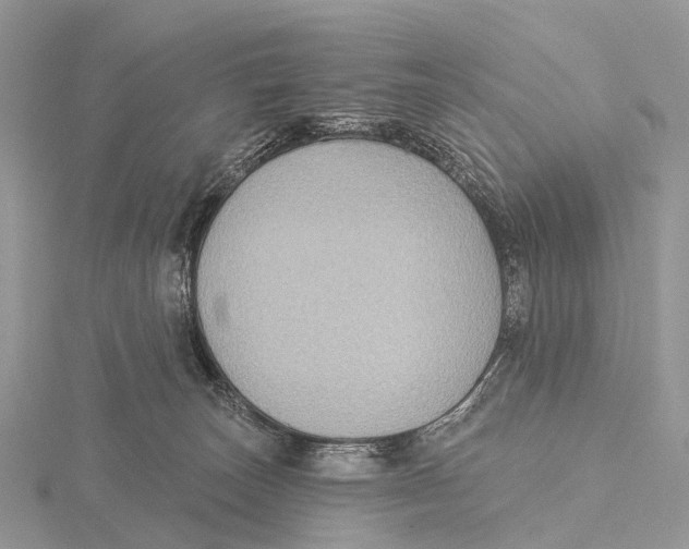 X0000115610179200912081009