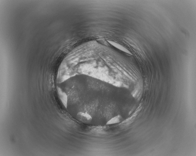 X0000115610182200912081010