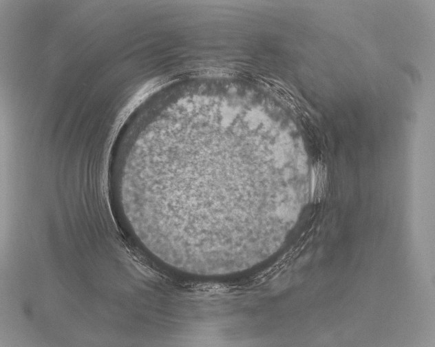 X0000115610195200912081009